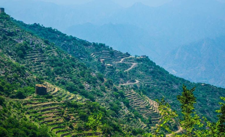 School Break Boosts Tourism as Visitors Enjoy Jazan