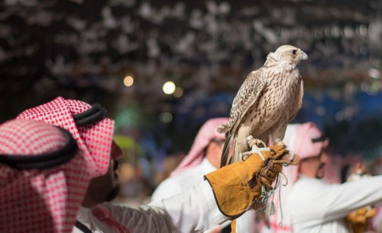 Top Winners Shine at King Abdulaziz Falconry Festival
