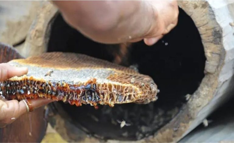 Jazan Honey Exhibition Attracts Thousands, Crosses SR1m in Sales