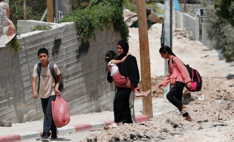 NGOs Strongly Condemn Settler Attack on Activists in West Bank