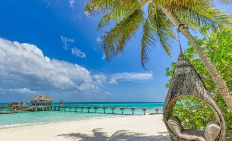 Why Wadi Al-Hamda is a Major Tourist Attraction in Saudi Arabia