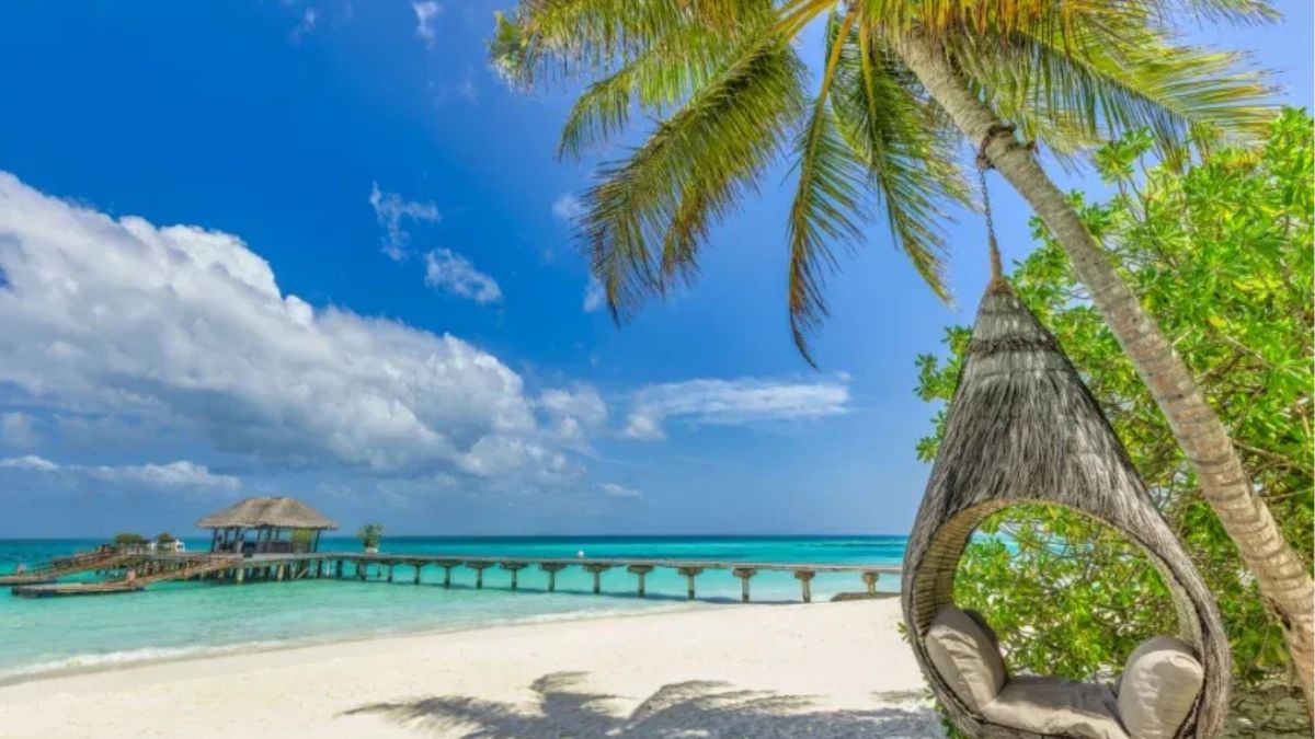 Why Wadi Al-Hamda is a Major Tourist Attraction in Saudi Arabia