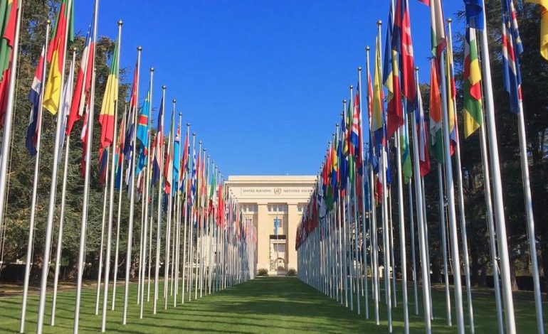 Saudi Arabia Calls at UN for Global Action to Combat Islamophobia