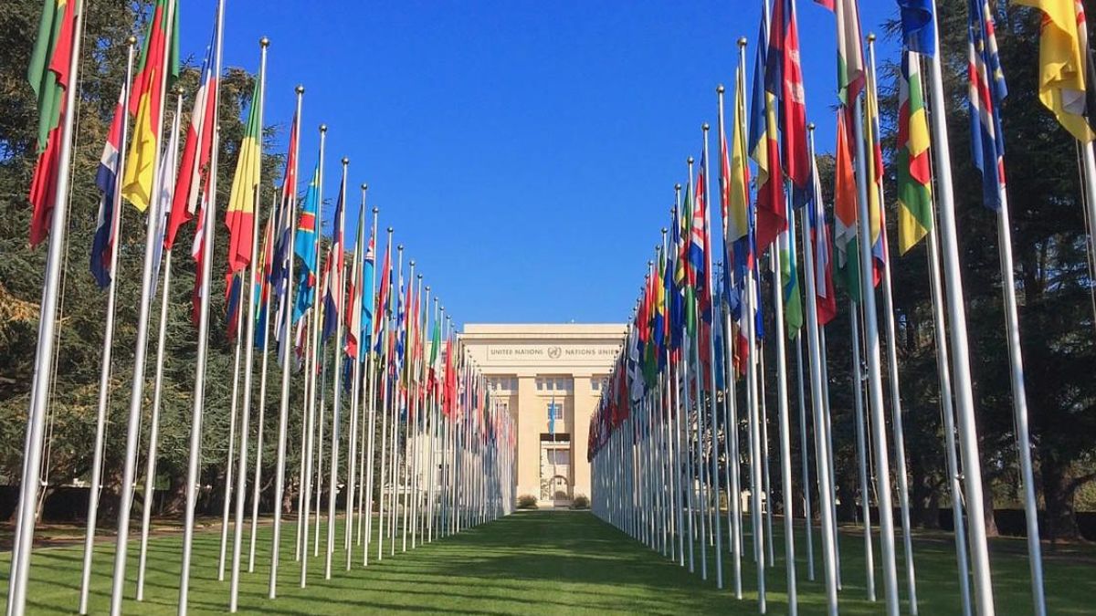 Saudi Arabia Calls at UN for Global Action to Combat Islamophobia