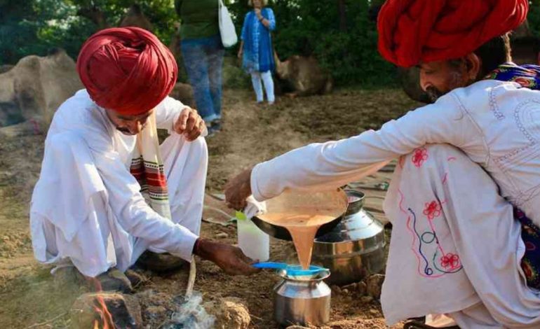 Camel Milk Revives Spring Traditions in Northern Borders Region