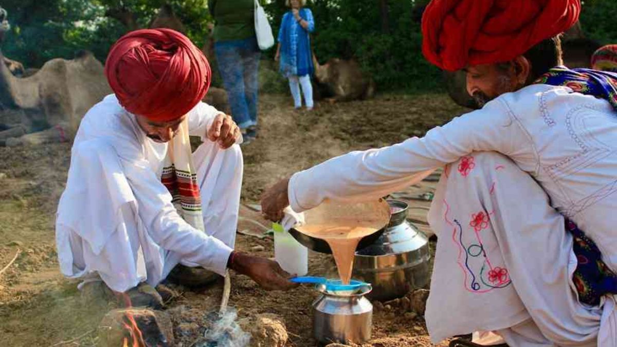 Camel Milk Revives Spring Traditions in Northern Borders Region