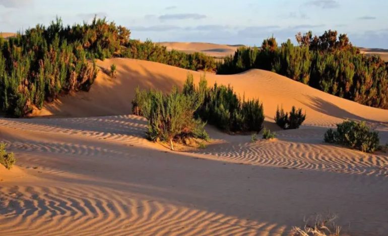 Why Mali Supports Morocco’s Sovereignty Plan for Western Sahara