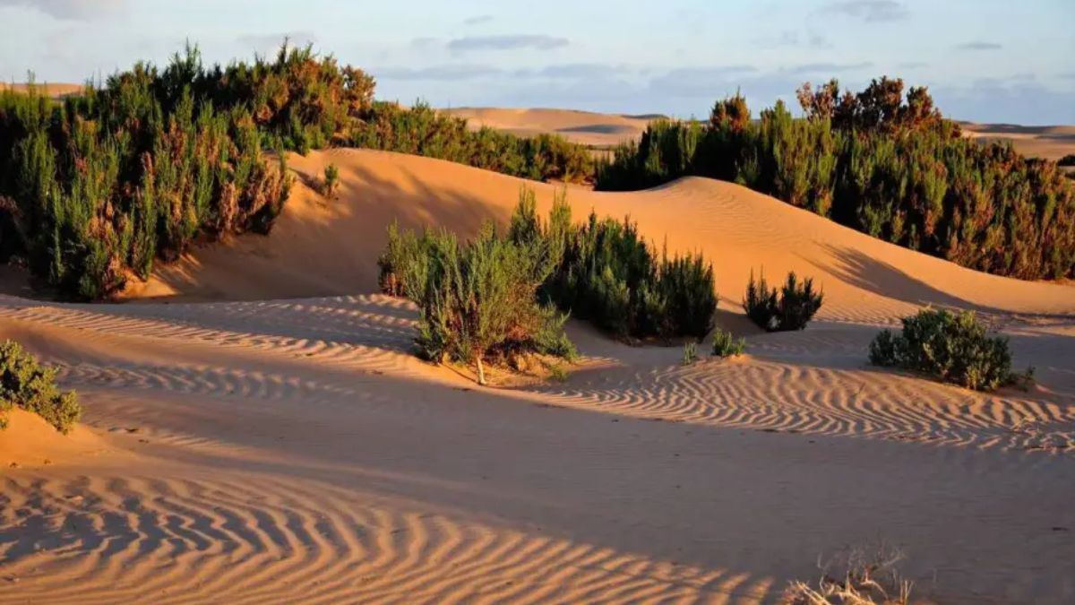 Why Mali Supports Morocco’s Sovereignty Plan for Western Sahara