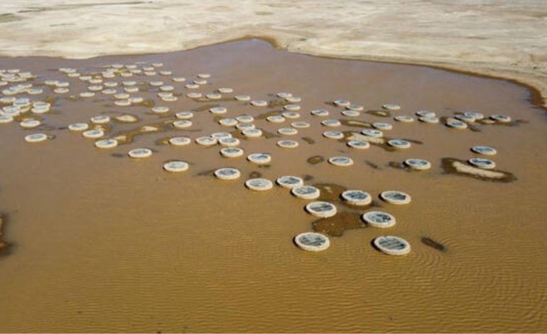 How Rainfall Is Reviving Historic Wells in Northern Borders