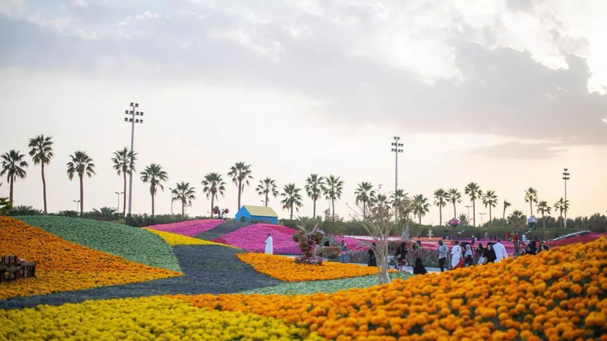 Why Yanbu Flower Festival Attracts Thousands of Tourists Every Year