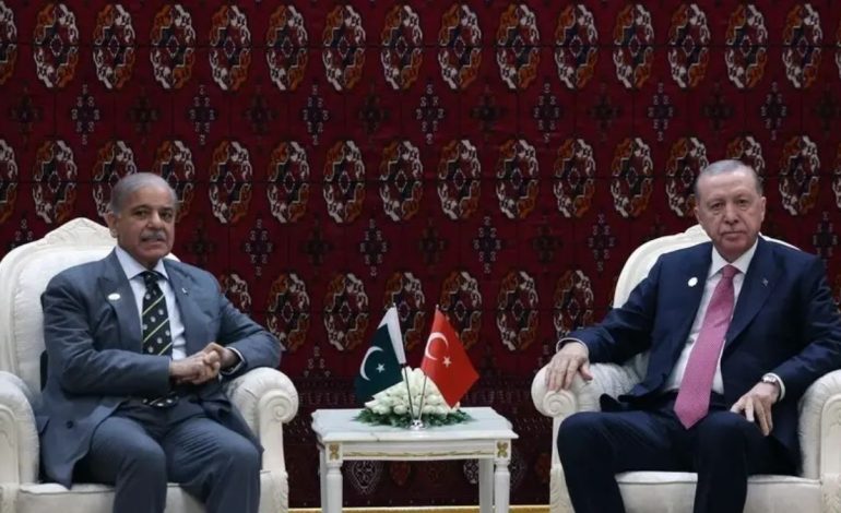 Saudi Arabia, Egypt, Pakistan and Turkiye Push for Diplomatic Solutions in US-Iran Talks