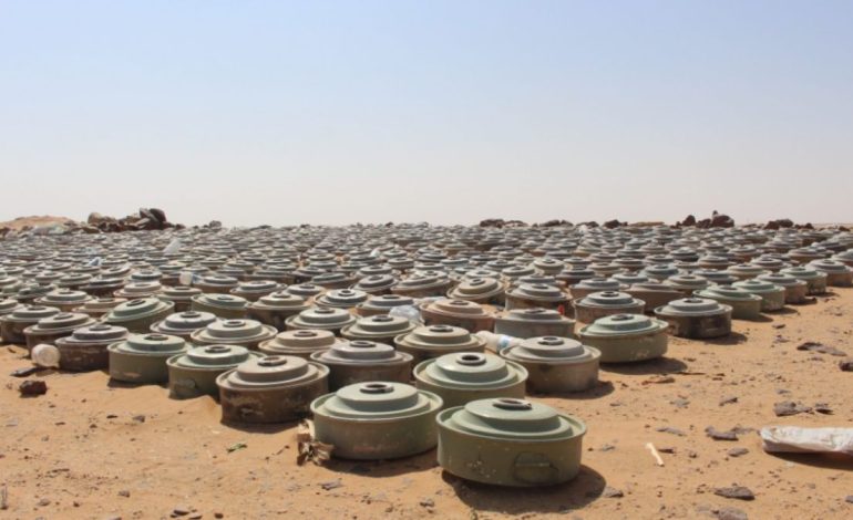 Protecting Communities: Saudi Masam Clears 1,609 Explosive Devices in Yemen