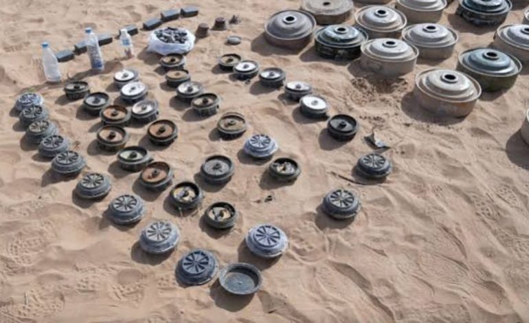 Saudi Humanitarian Project Continues Mine Clearance Efforts in Yemen