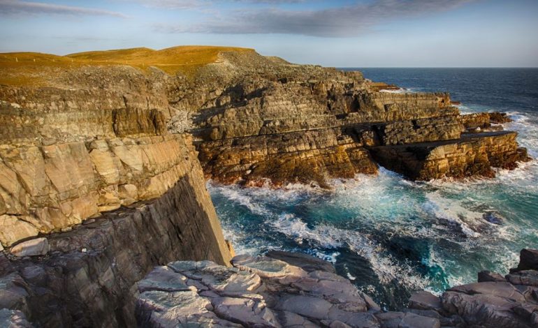 UNESCO Heritage Status Could Shine a Global Spotlight on Danish Fossil Cliffs