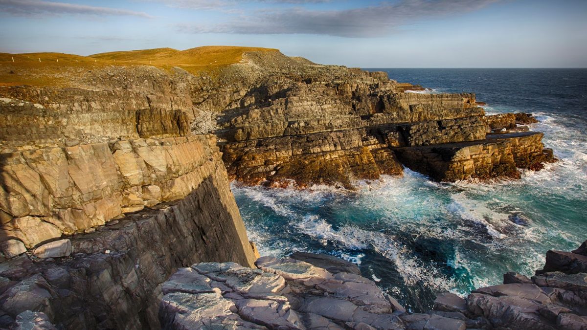 UNESCO Heritage Status Could Shine a Global Spotlight on Danish Fossil Cliffs