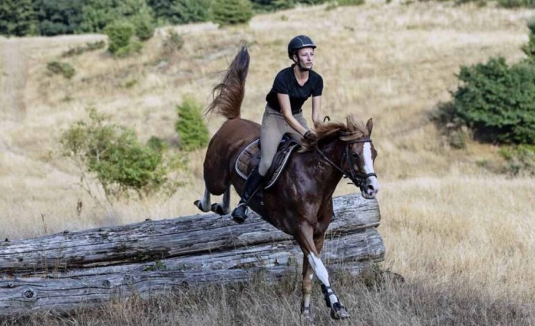 How Arabian Horses Are Making Raghadan Forest More Attractive for Visitors