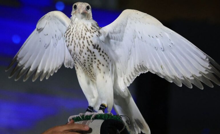 Slovenian Falcon Farm Records Unprecedented One-Day Bird Sale
