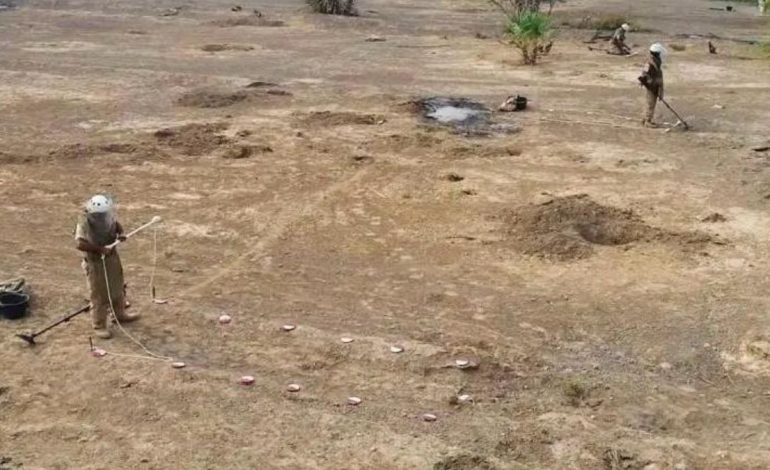 Masam Eliminates Thousands of Mines and Unexploded Ordnance in Yemen