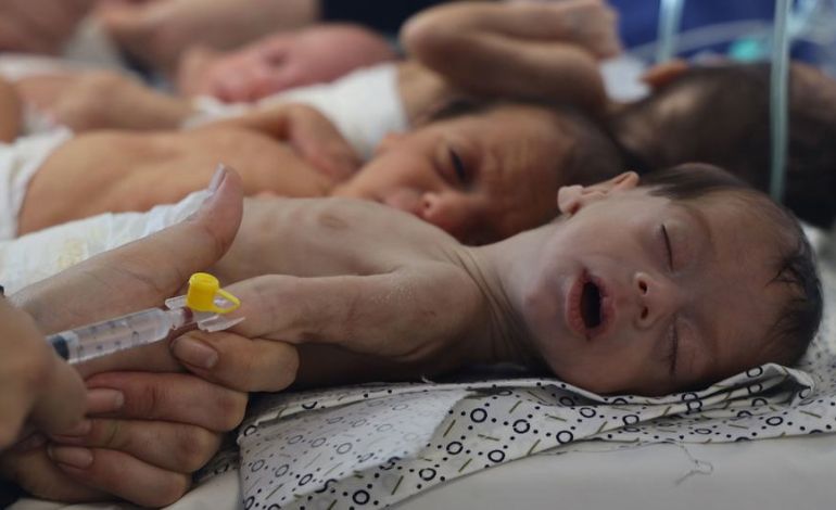 Gaza’s Premature Babies Struggle for Critical Care Amid Devastation