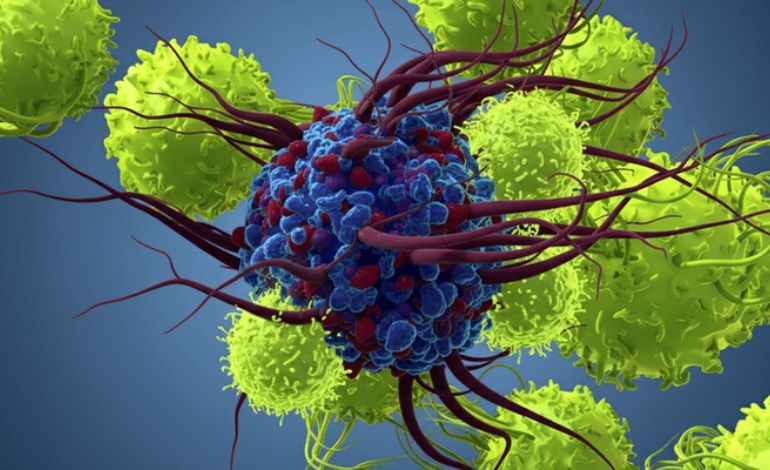 After Patients Beat the Odds of Dying, Scientists Will Start a Heart Stem Cell Trial in the UAE