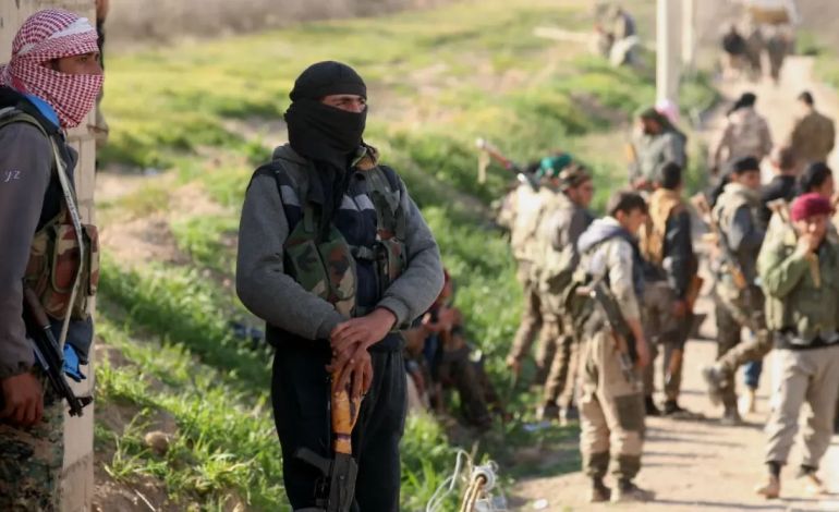 Seven Killed in Jordanian Air Strikes on Syria Militant Hideouts